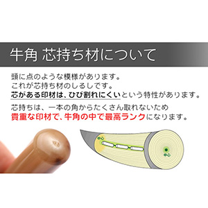 銀行印 牛角・純白 12.0mm 【ファンシーケース付】