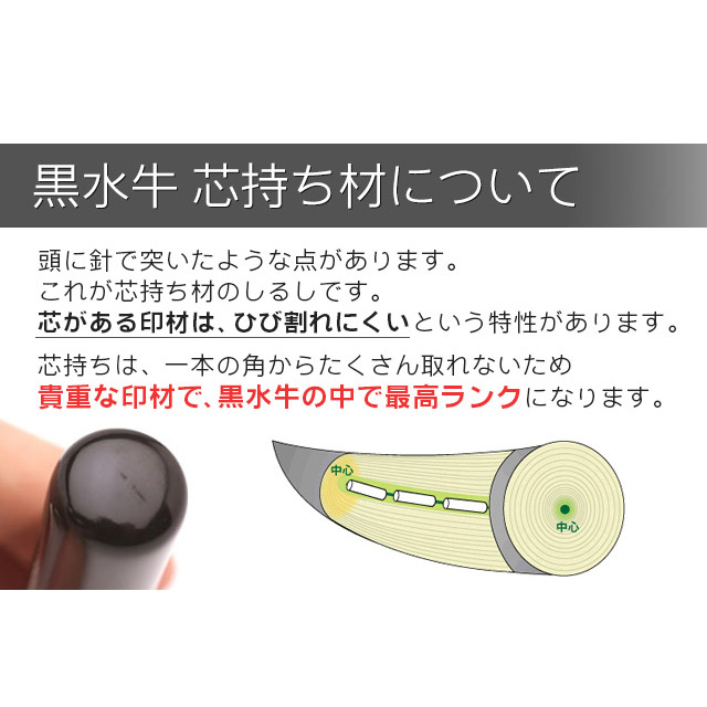最高級印材 カラー水牛 芯持ち 二本セット